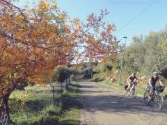 picture taken along the 
			EuroVelo 8: touring cyclists on the EuroVelo 8 at Sainte-Foy near Lorgues 83510, France