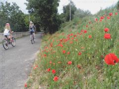 
Bicycle Path “La Vigne à vélo”